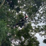 吊るし切り