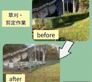 生活道路の除草・剪定作業