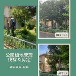公園緑地管理＆伐採