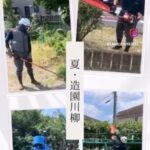 夏の造園川柳