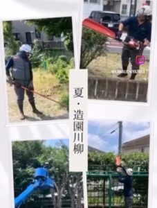 夏の造園川柳
