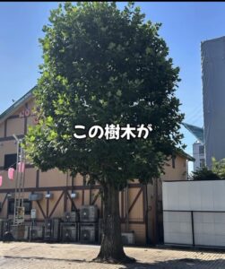 夏の現場作業の一コマお見せします