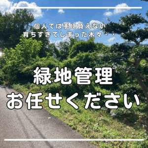 個人では手に負えない緑地管理もお任せください！