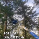 2026.02伐採作業まとめ