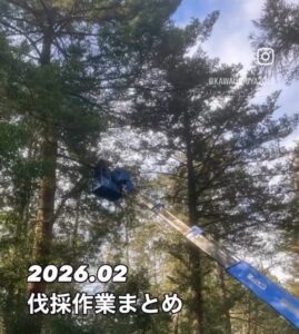 2026.02伐採作業まとめ