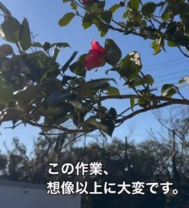 技能実習生の挑戦を紹介！